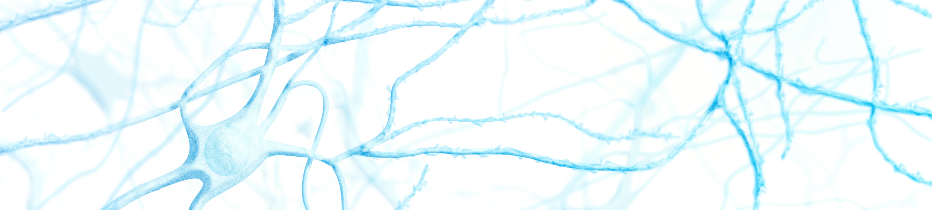 Aktive Nervenzelle. (c) Sebastian Kaulitzki - fotolia.com